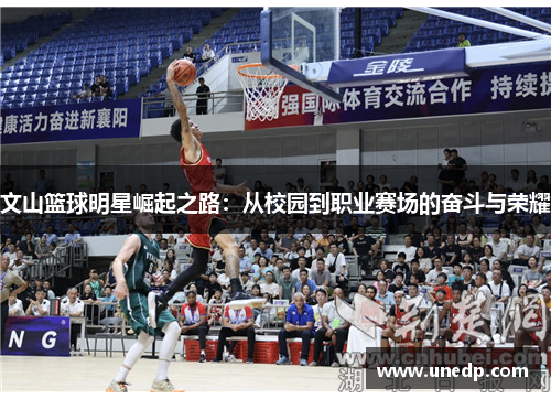 文山篮球明星崛起之路：从校园到职业赛场的奋斗与荣耀