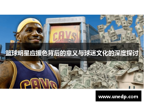 篮球明星应援色背后的意义与球迷文化的深度探讨